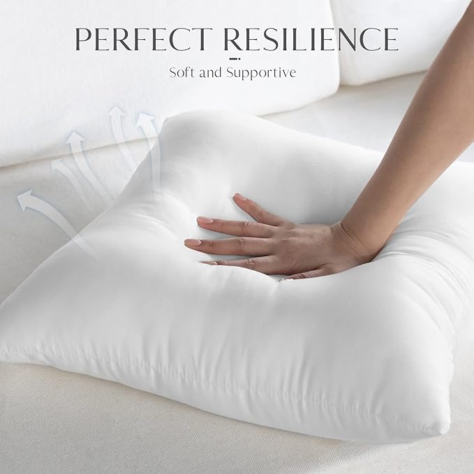 Outdoor Pillow Inserts, 18x18 Waterproof Throw Pillows Pack of 2, Outdoor Pillows Water-Resistant Decorative Premium Square Pillow Stuffer Sham for Porch Patio Living Room Bedroom Furniture